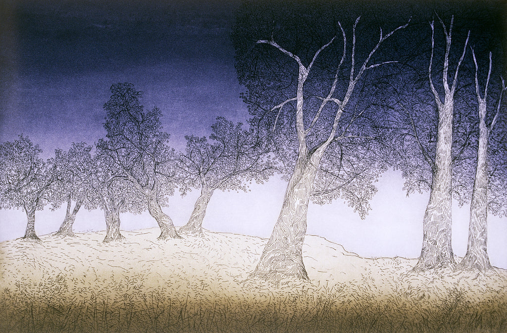 Paramjit Singh | Eight Trees | Limited Edition Etching