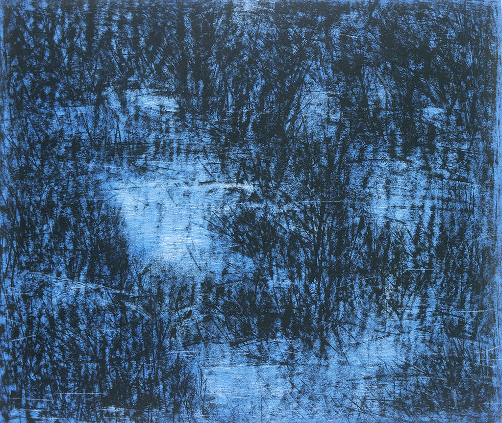 Paramjit Singh | Grass Water - I | Limited Edition Etching